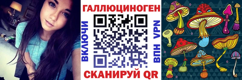 купить  сайты  Красноперекопск  Псилоцибиновые грибы Psilocybe 